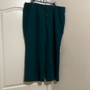Lane Bryant Teal Pull-On Perfect Drape Wide Leg Pant Size 28s